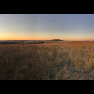 Meet your Posher, Jesse